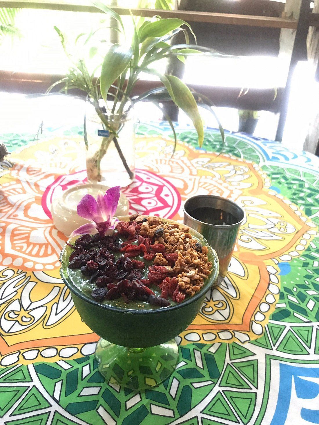 A bowl of colorful food with a cup on a patterned tablecloth beside a small potted plant.
