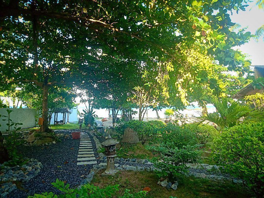 Lush garden with stone steps, trees, and sunlight filtering through the leaves.