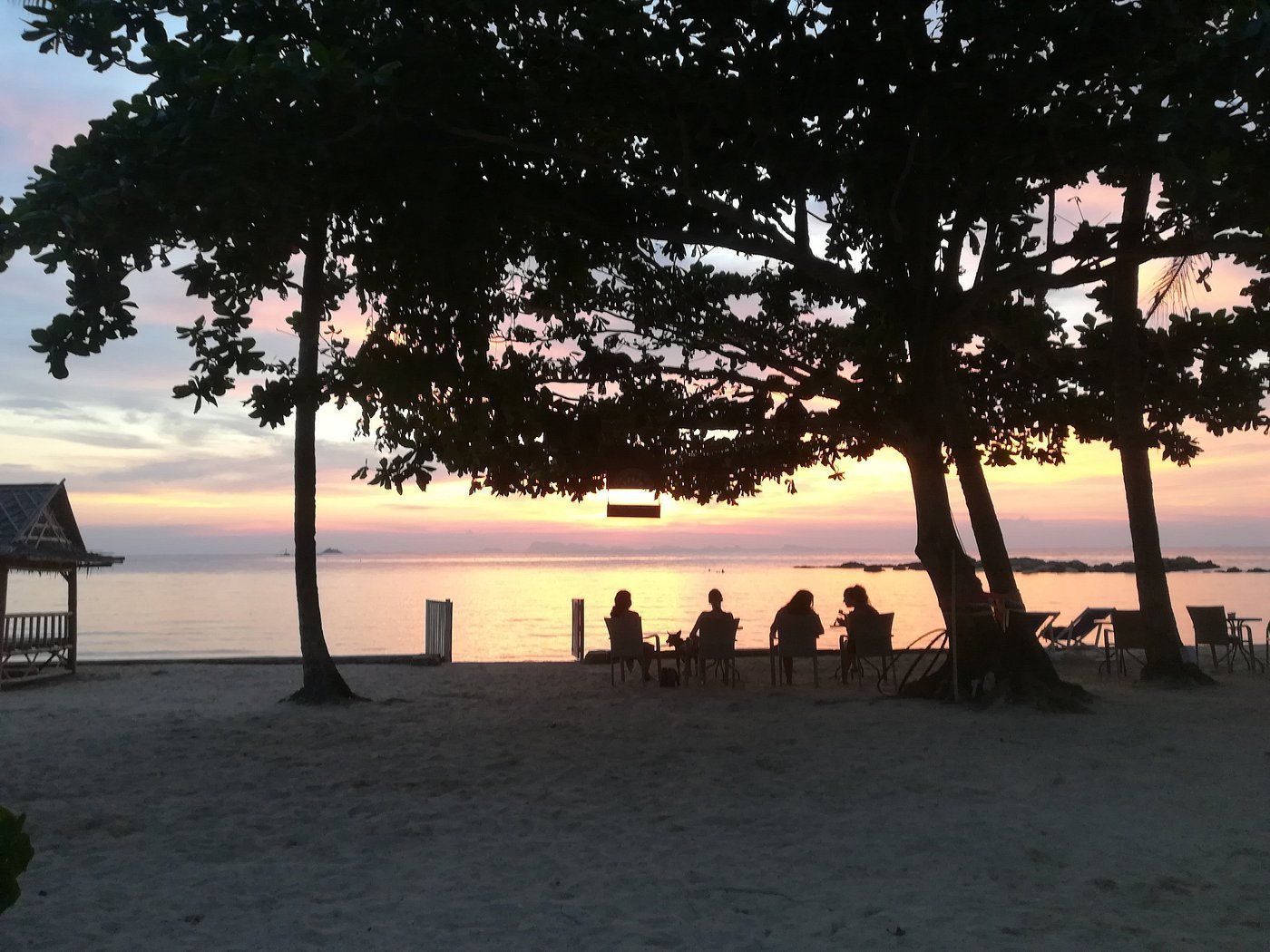 Sunset beach scene with silhouetted people seated under trees by the water