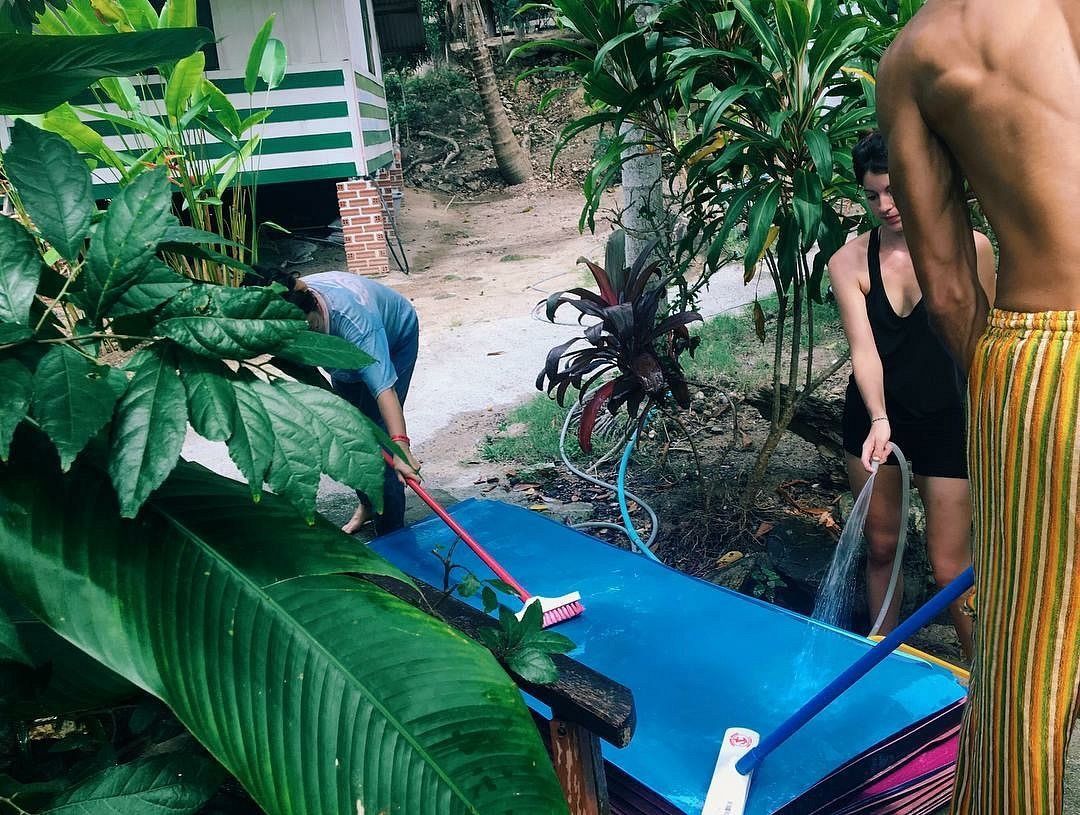 People moving a blue stretcher through a lush garden path.