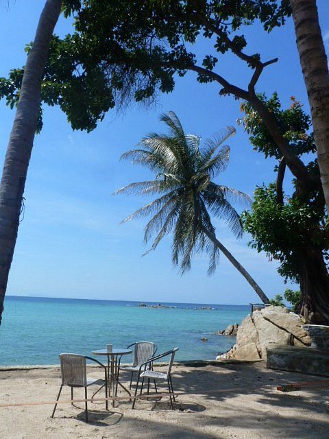 Beachfront chairs and table under palm trees, overlooking a calm turquoise ocean and blue sky.