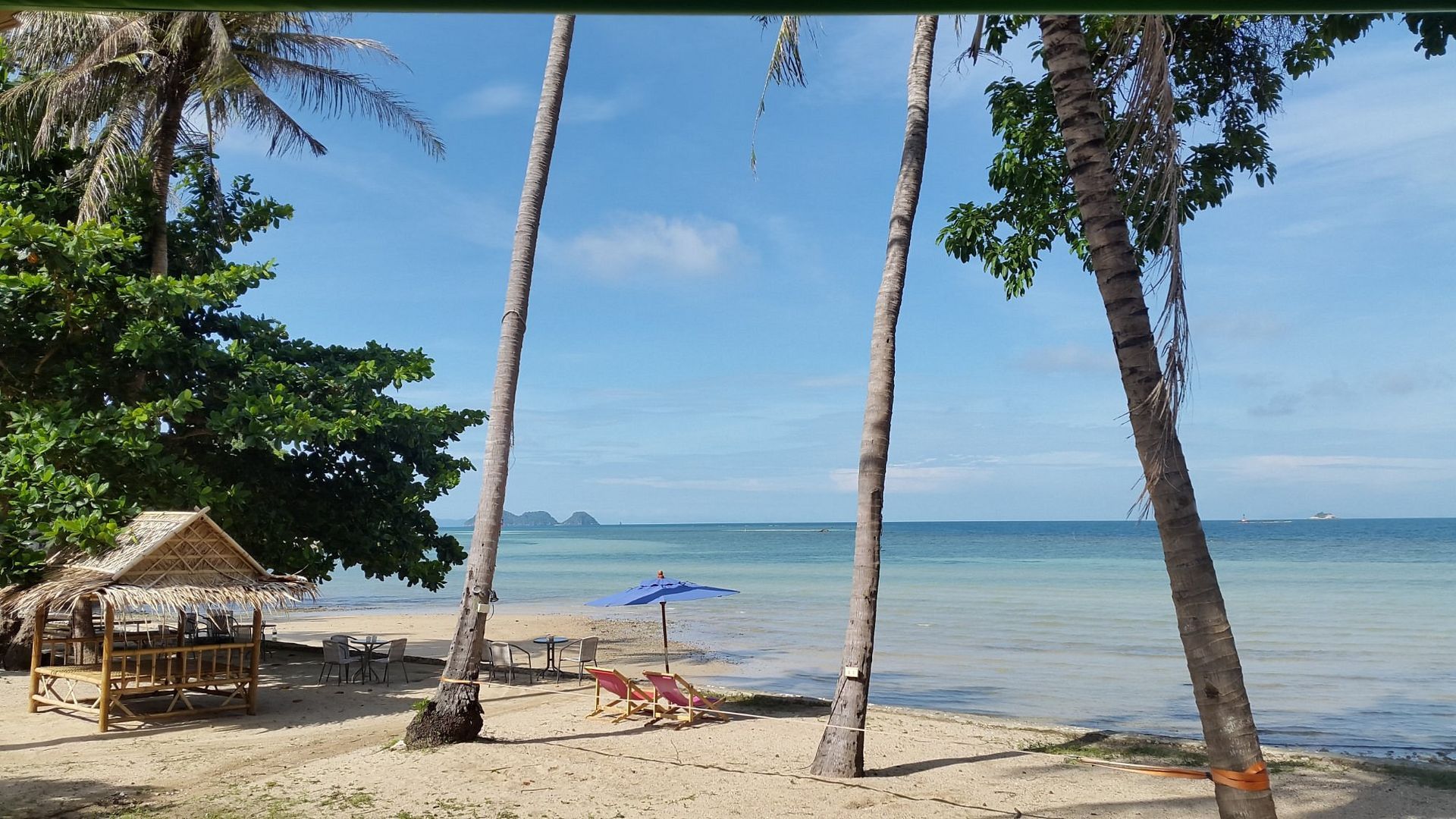 Tropical beach with palm trees, thatched hut, lounge chair, and calm blue sea under a clear sky