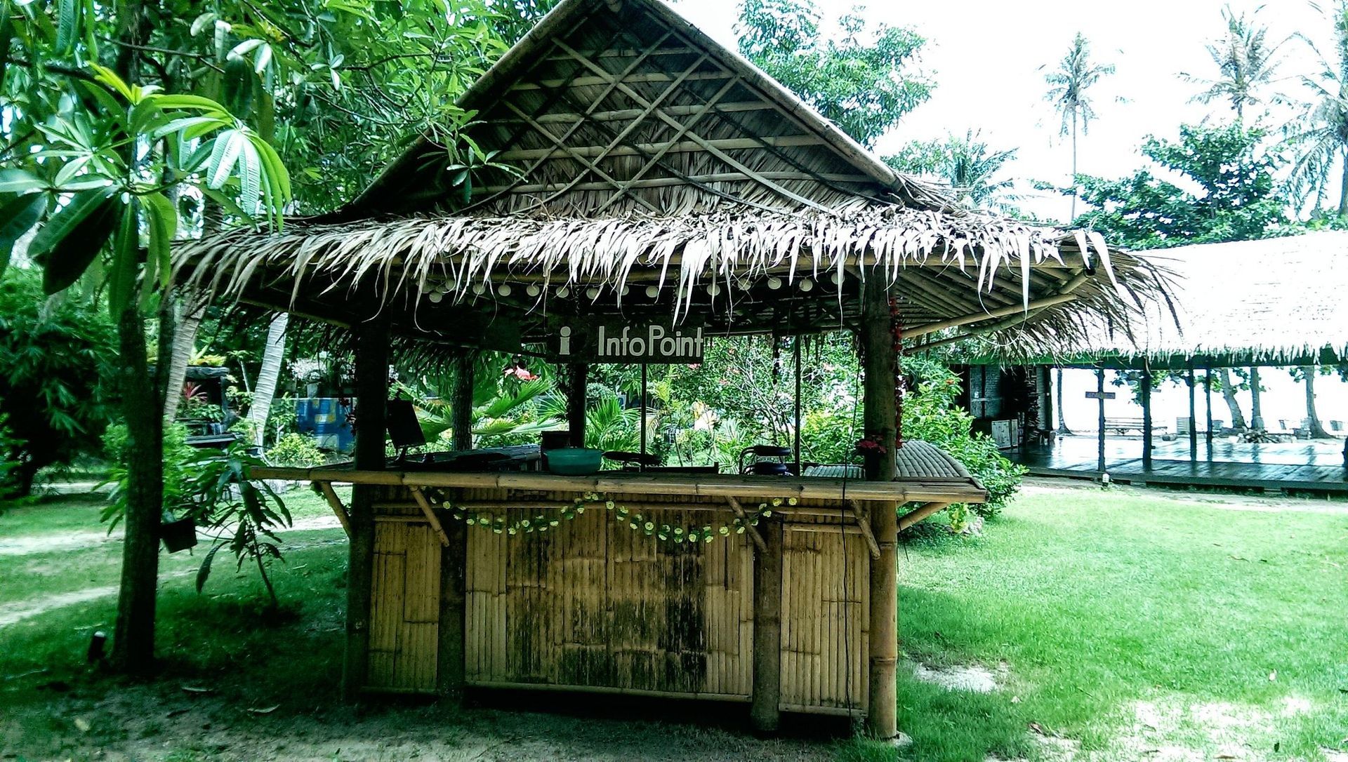 Thatched bamboo hut in a green tropical garden with palm trees.