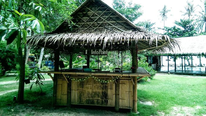 Thatched bamboo hut in a green tropical garden with palm trees.