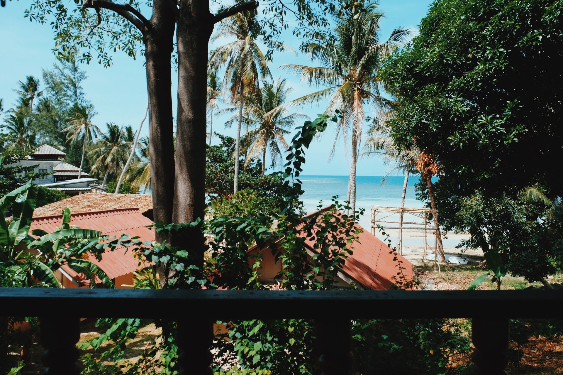 Tropical seaside view with palm trees, blue ocean, and red-roofed buildings behind a dark railing