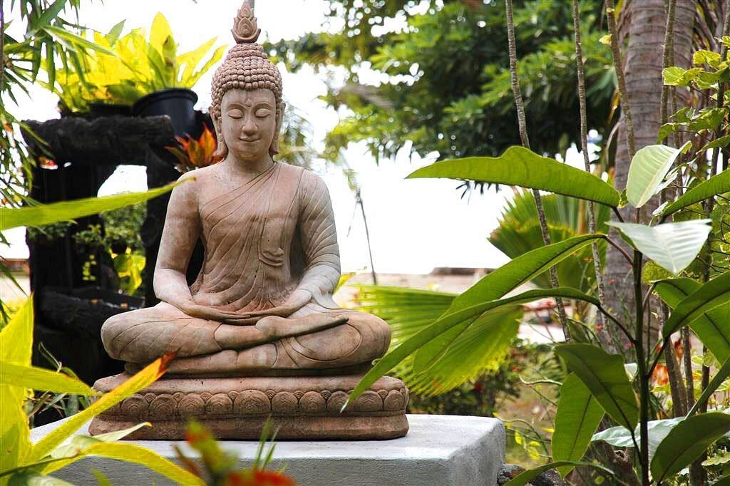 Stone Buddha statue seated among green tropical plants outdoors