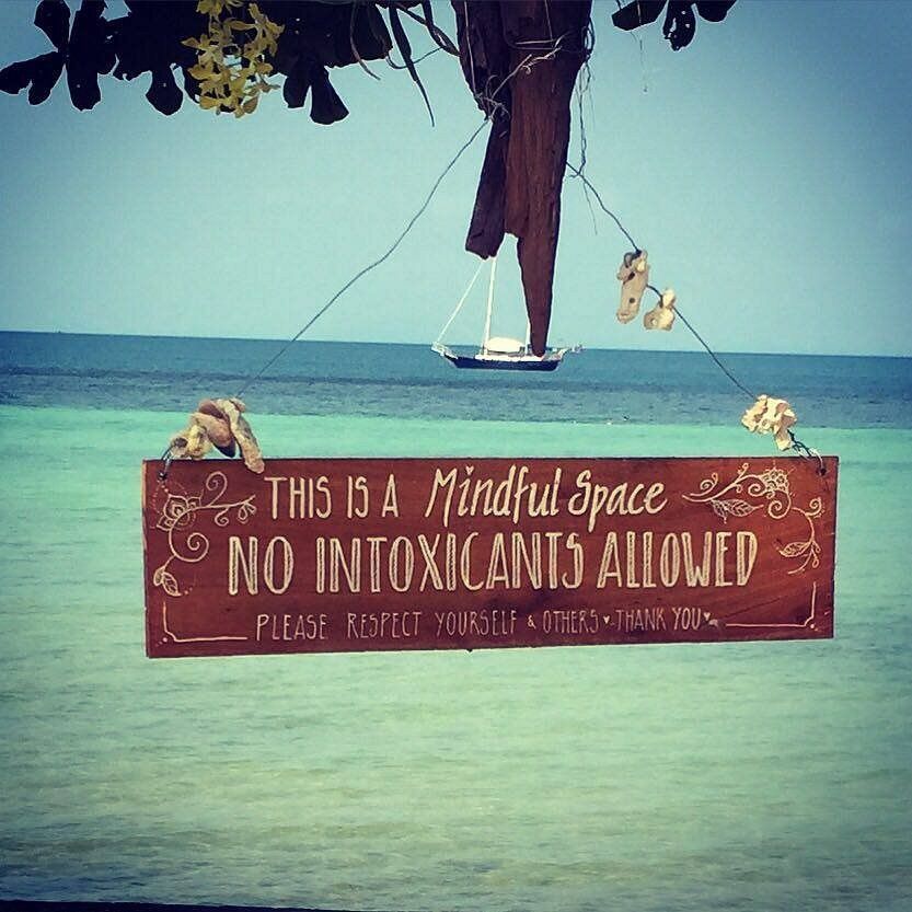 Mindful space sign on a beach reading “No intoxicants allowed,” with ocean and sailboat in the background