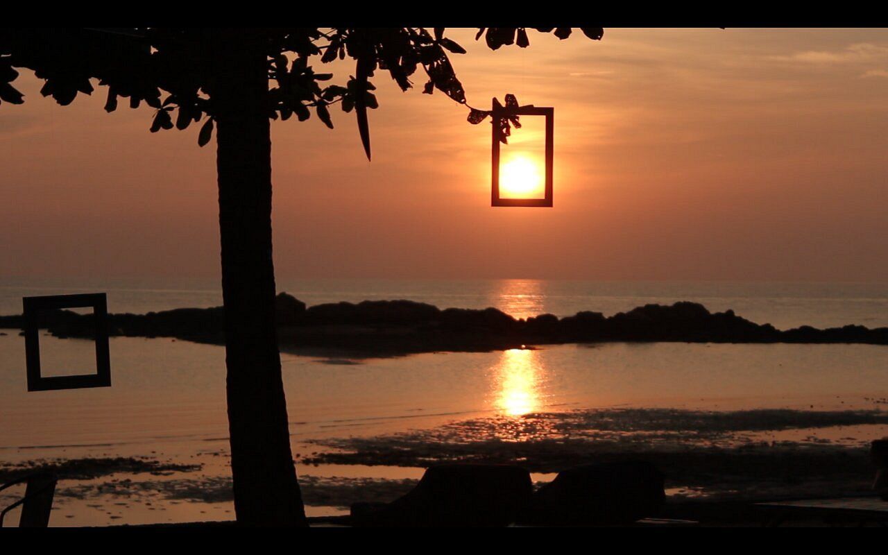 Silhouetted tree and hanging lantern frame a glowing sunset over calm water