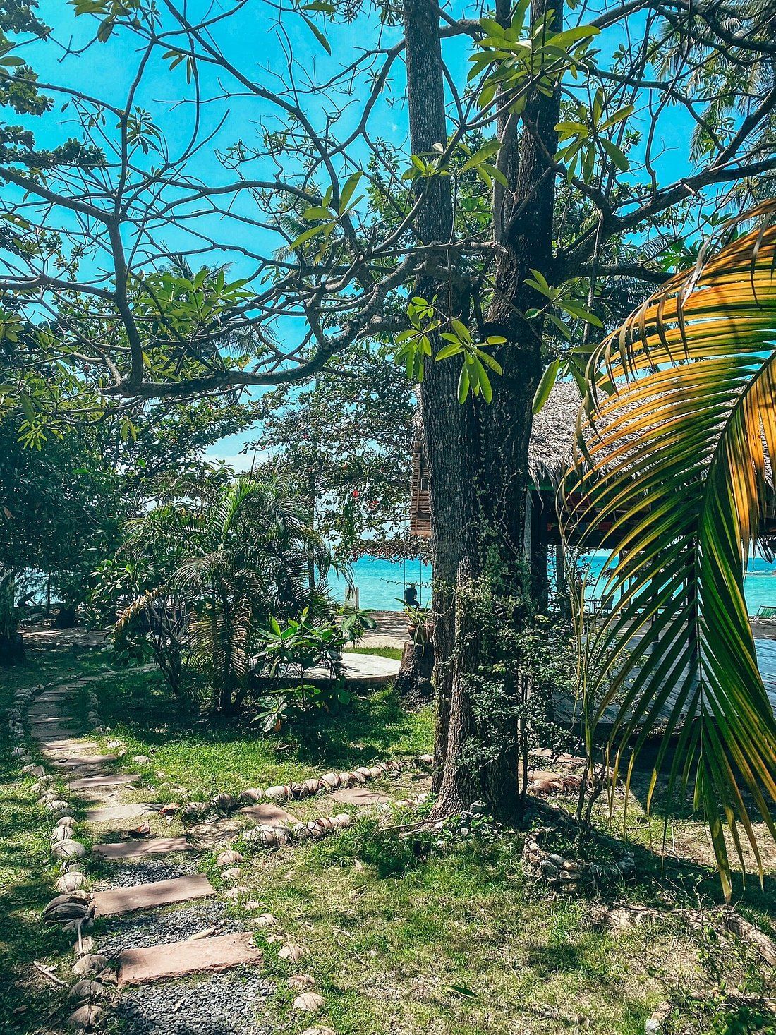 Tropical garden path beside a palm tree and leafy trees, with bright turquoise water in the distance.
