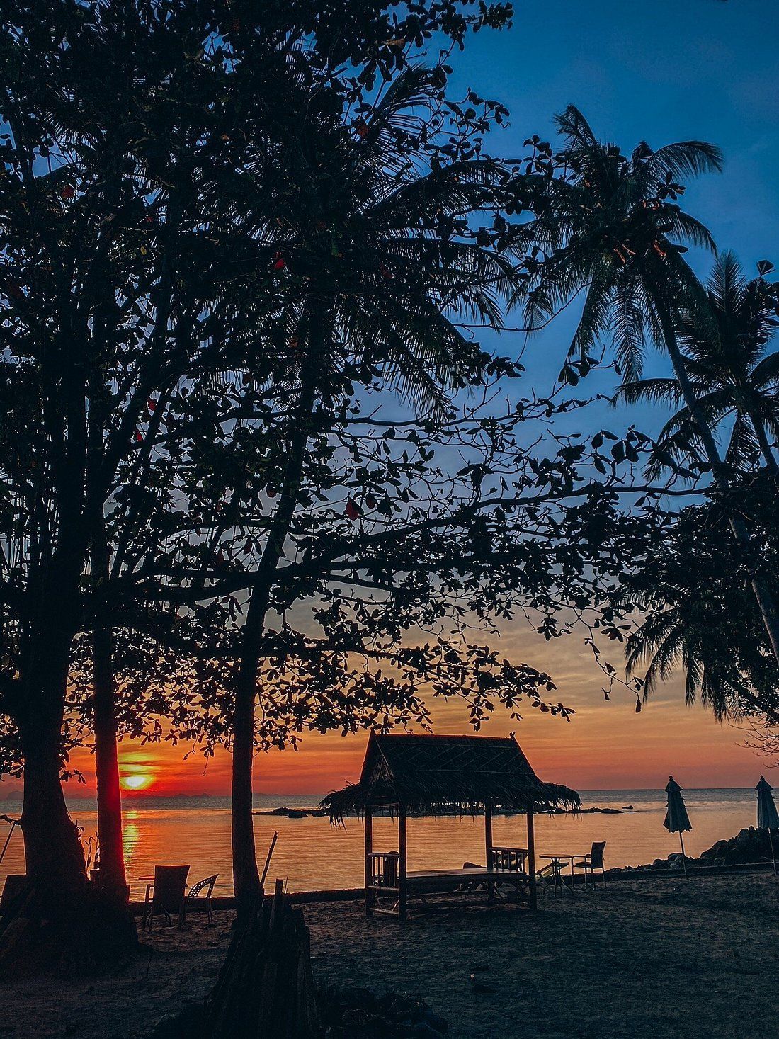Sunset over a beach with silhouetted trees and a small thatched hut by the shore