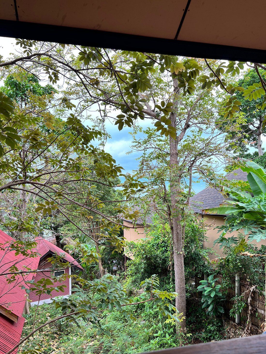 View from a porch over dense green trees and rooftops, with a red house partly visible on the left.