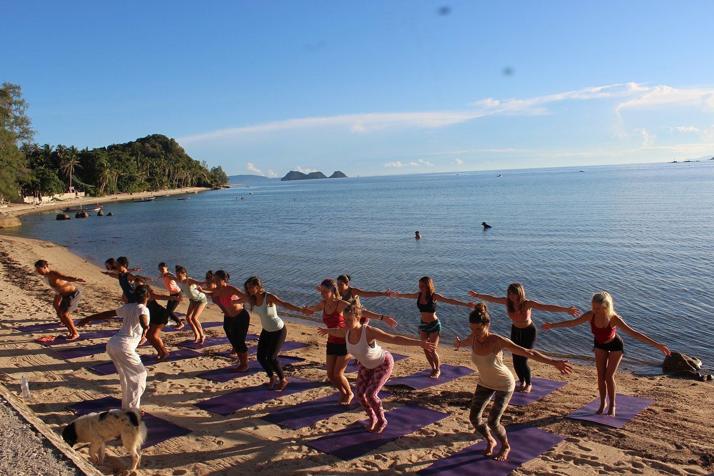 People exercising in a circle on a sandy beach by the sea at sunset