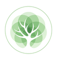 A tree with leaves in a circle on a white background.