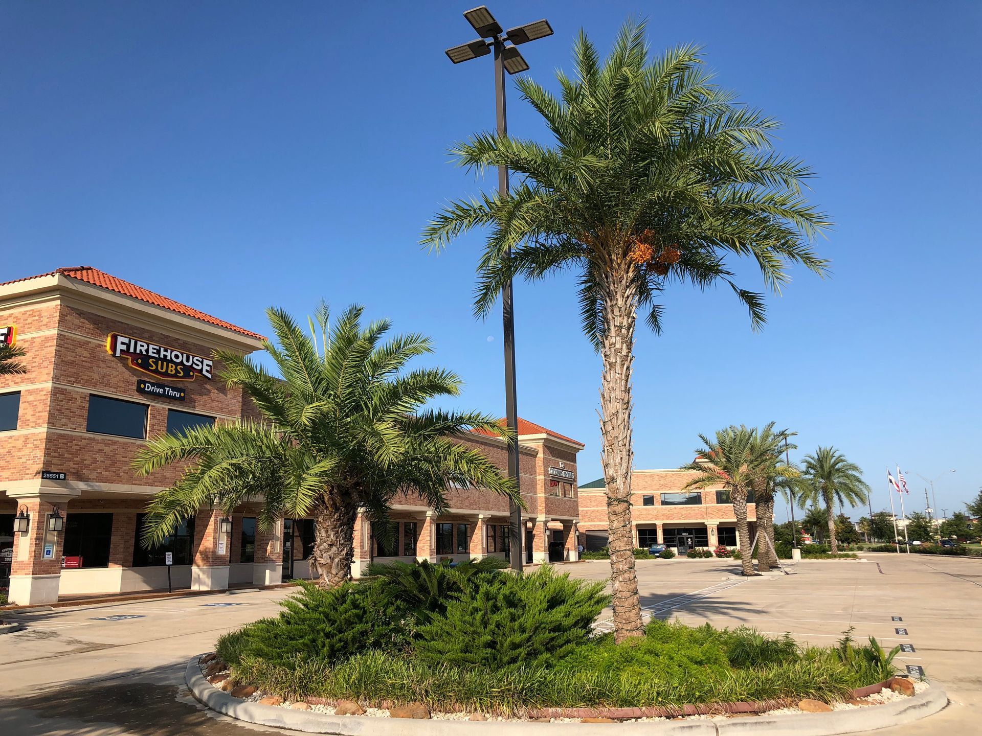 Exterior view of a shopping center with palm trees in a sunny parking lot.