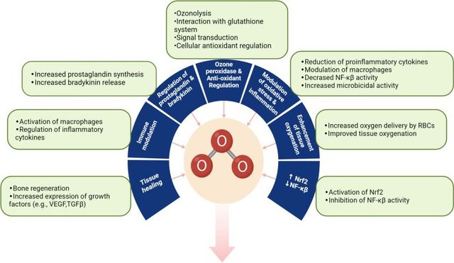 Medical Ozone Therapy in Colorado