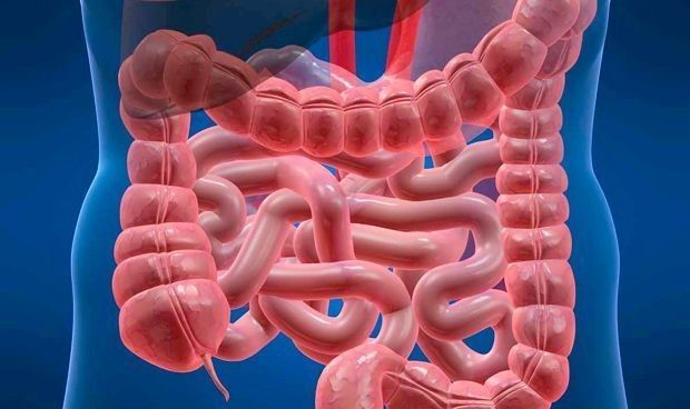 El Síndrome de Intestino Irritable (SII) es un trastorno gastrointestinal común