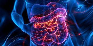 Síndrome de intestino irritable (SII): tratamiento actual