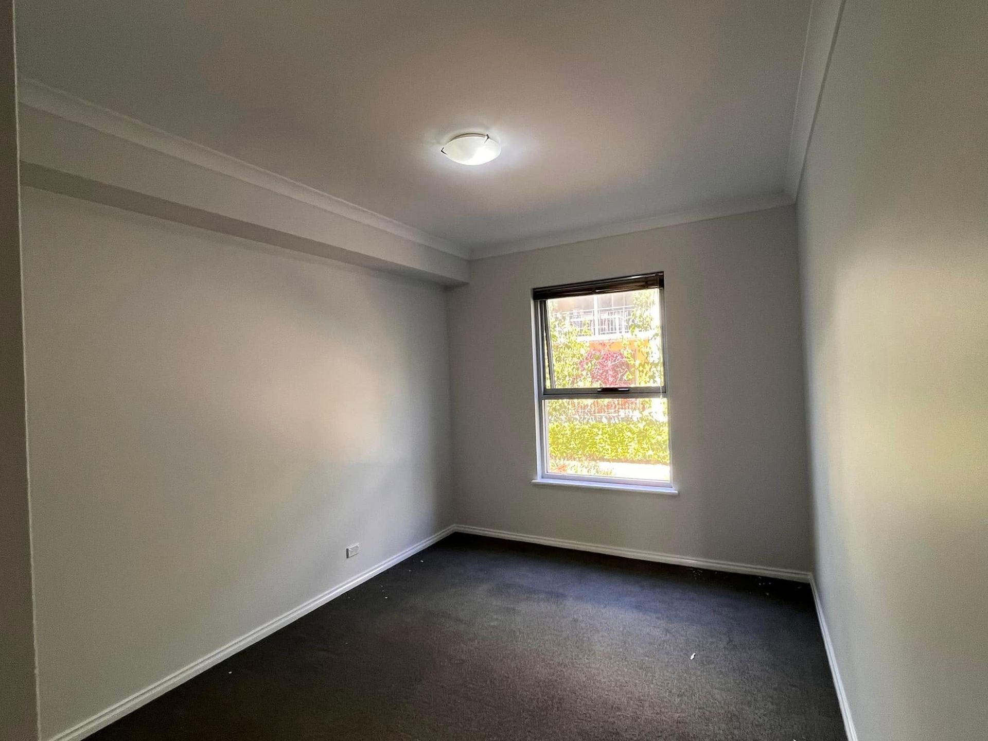 Empty gray bedroom with dark carpet and a single window looking out to trees.