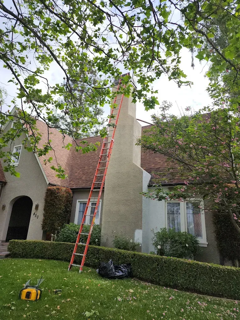 Red extension ladder leaning against a house roof under tree branches in a front yard