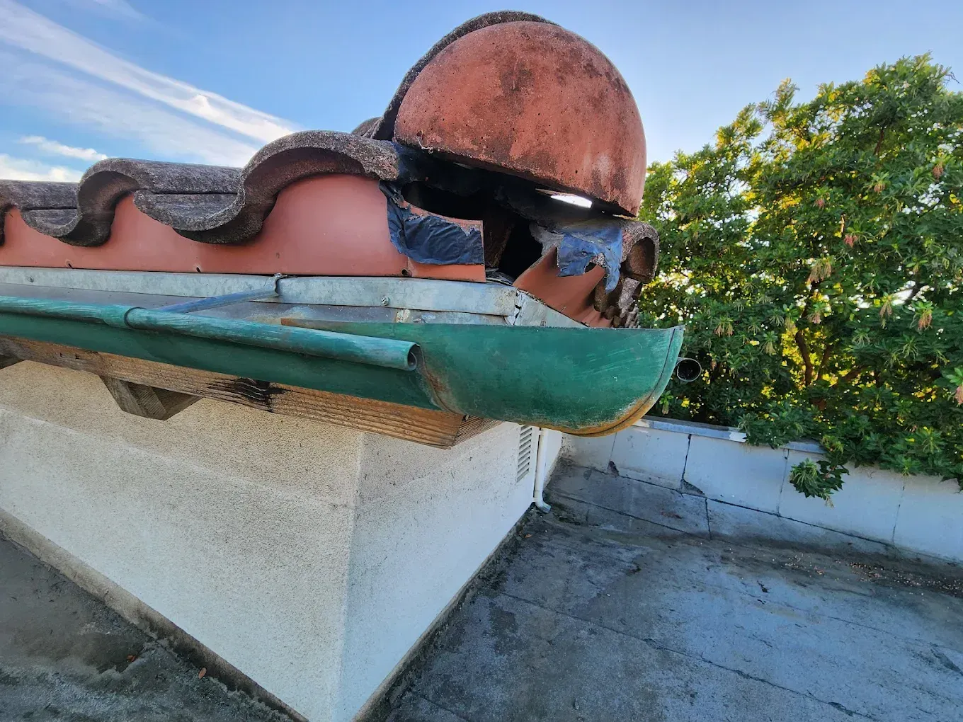 Snake on a rooftop beside a rusted vent and trees in bright sunlight