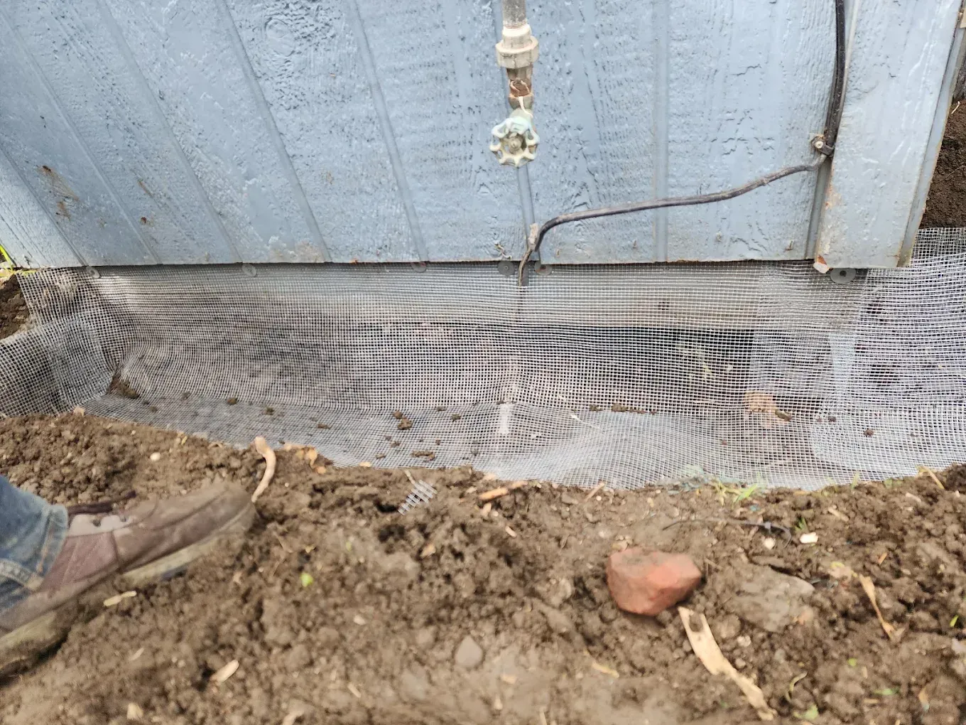 Ground next to a blue wall with white mesh drainage fabric and a person’s shoe at left.