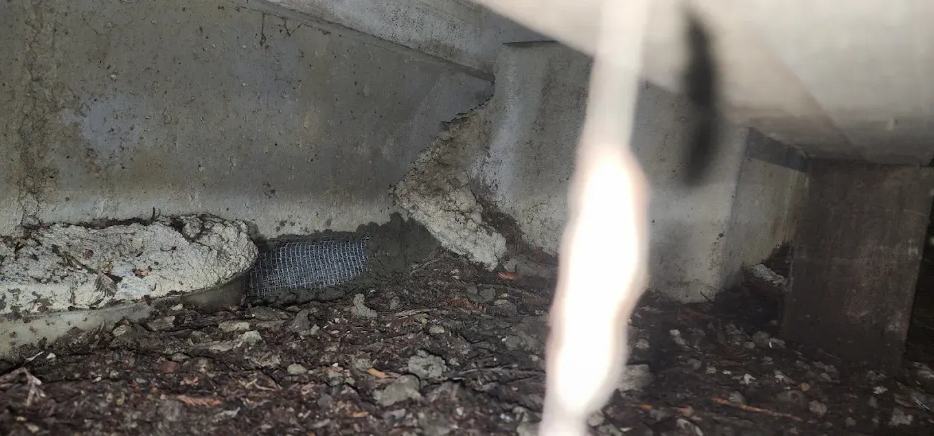 Dark, cluttered crawlspace under a structure with debris, dirt, and a concrete support pillar.