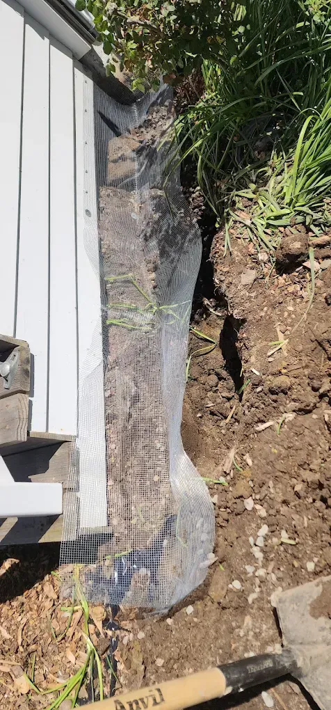 Plastic sheeting laid along a house foundation beside a dirt slope and vegetation