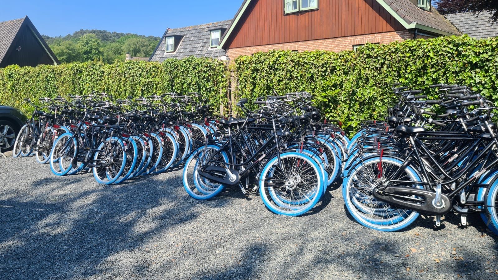 Een rij zwarte fietsen met blauwe banden staat geparkeerd op grind, naast een groene heg en gebouwen.
