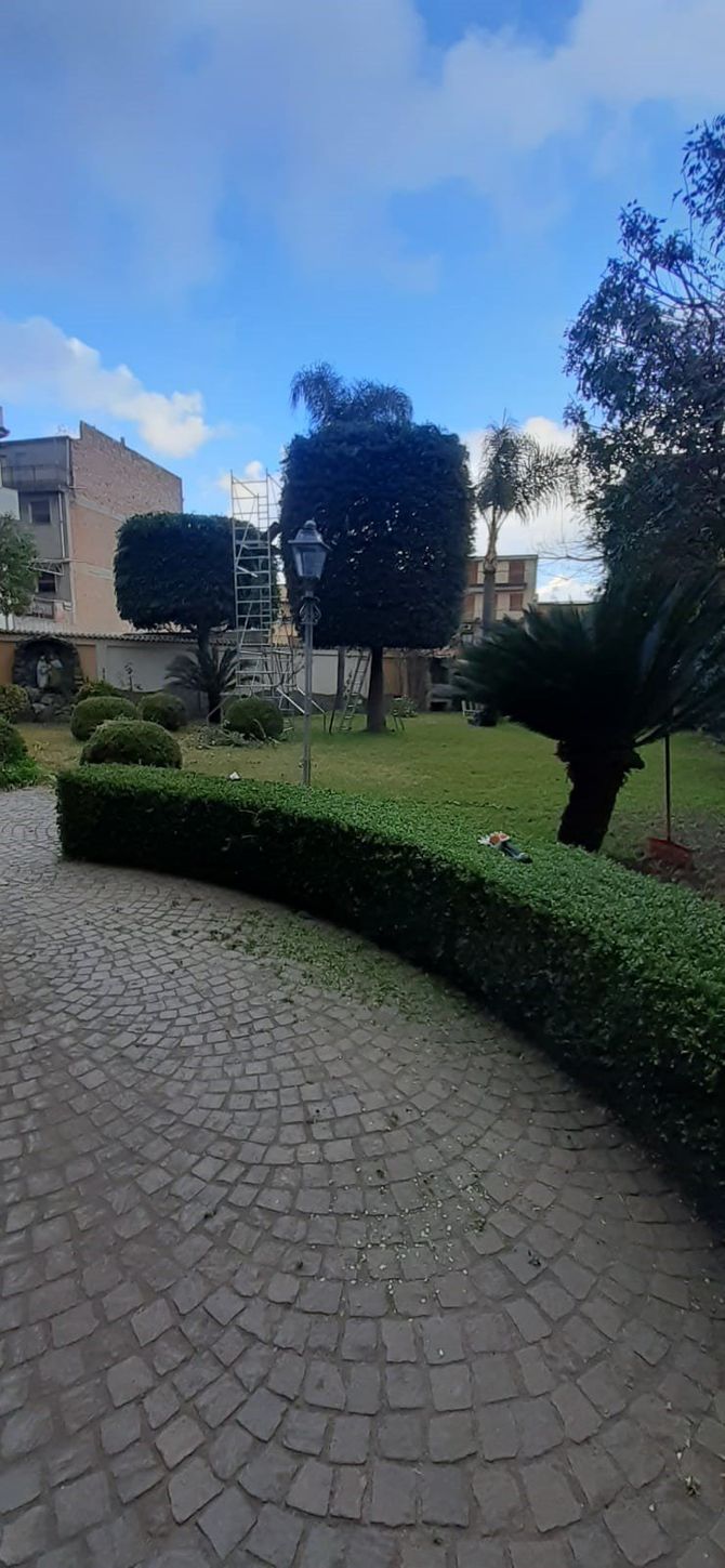 Giardinaggio professionale