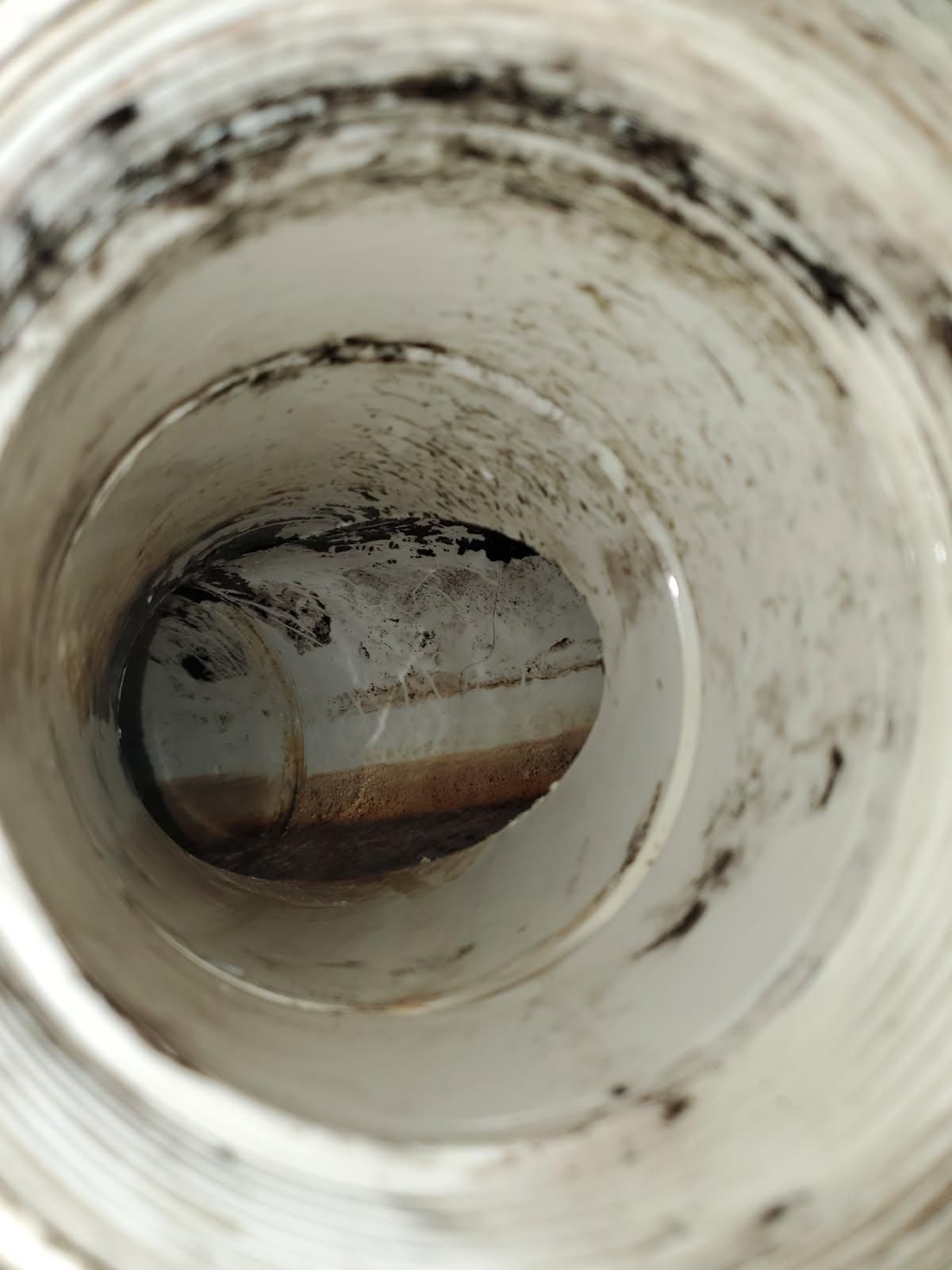 Close-up of a dirty white pipe interior with black mold and brown stains