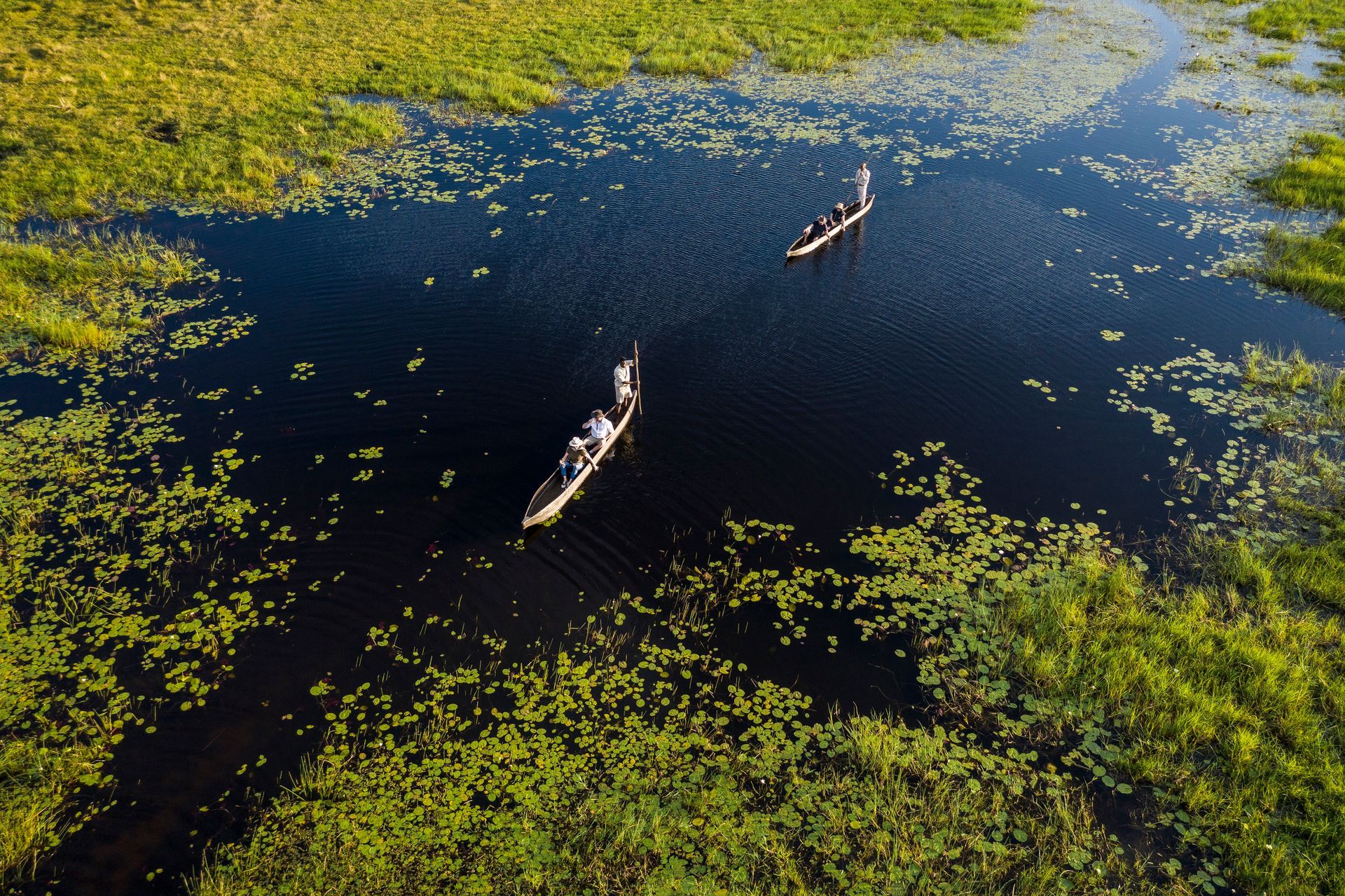 Two mokoro canoes carrying people travel through dark water channels in a vibrant green wetland.