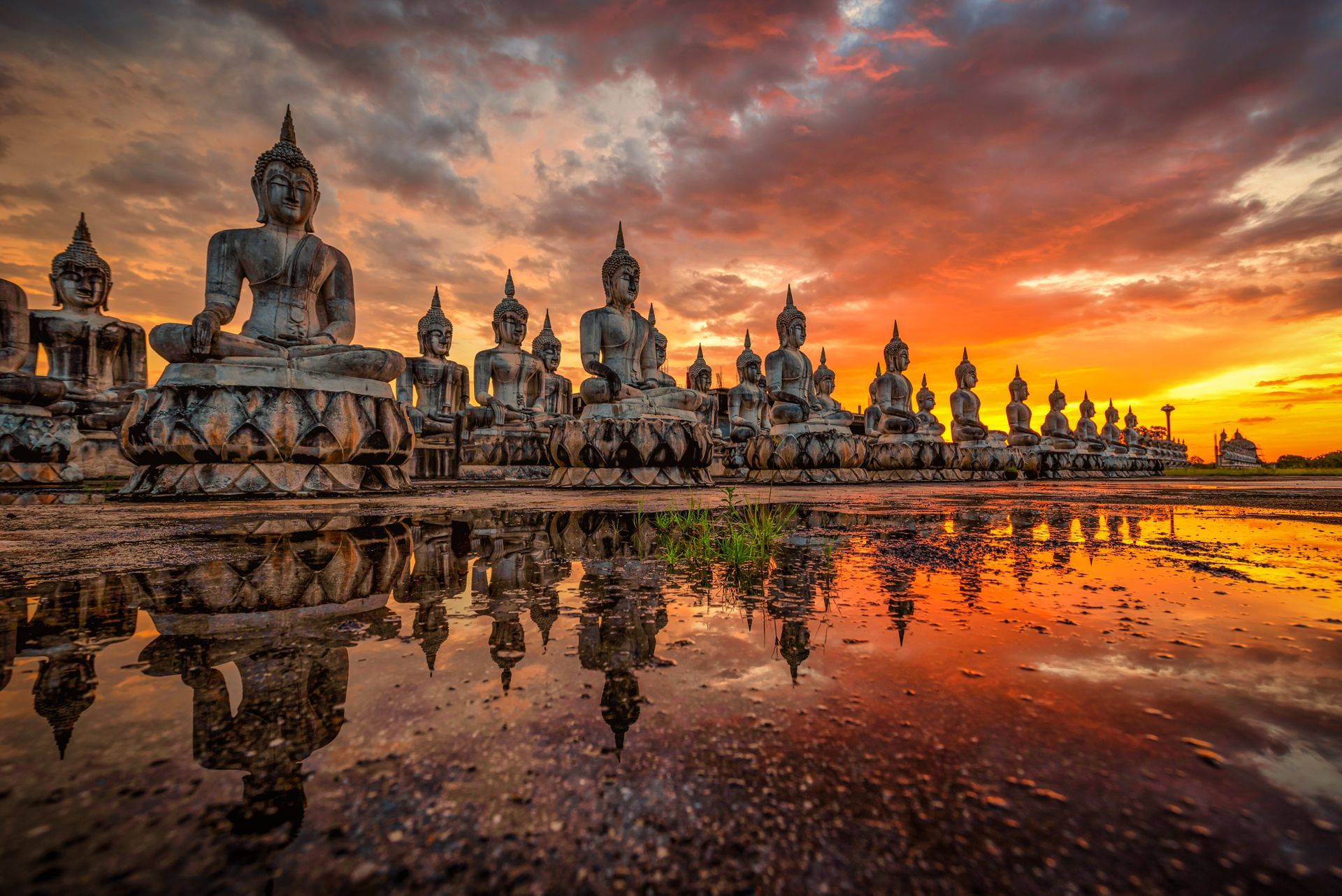 Row of stone Buddha statues reflecting in a puddle under a dramatic, vibrant orange and purple sunset.