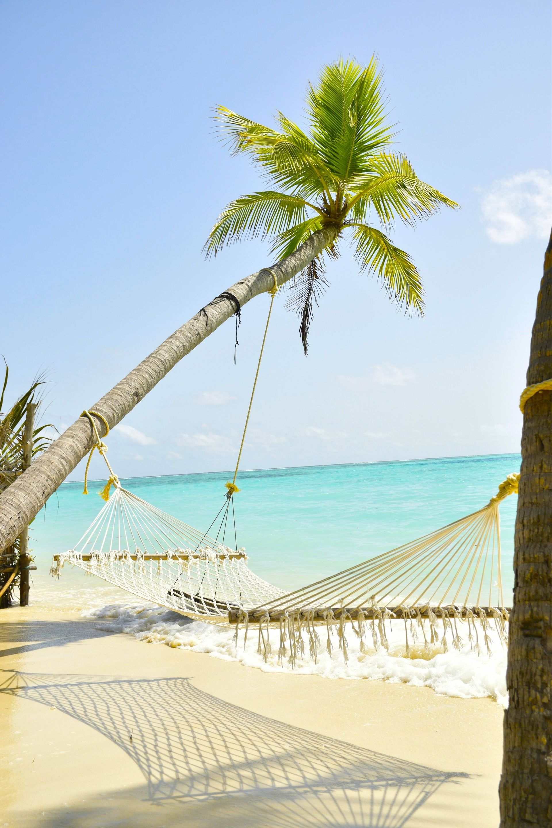 Two hammocks suspended between palm trees on a sunny, white sand beach overlooking calm, bright turquoise water.