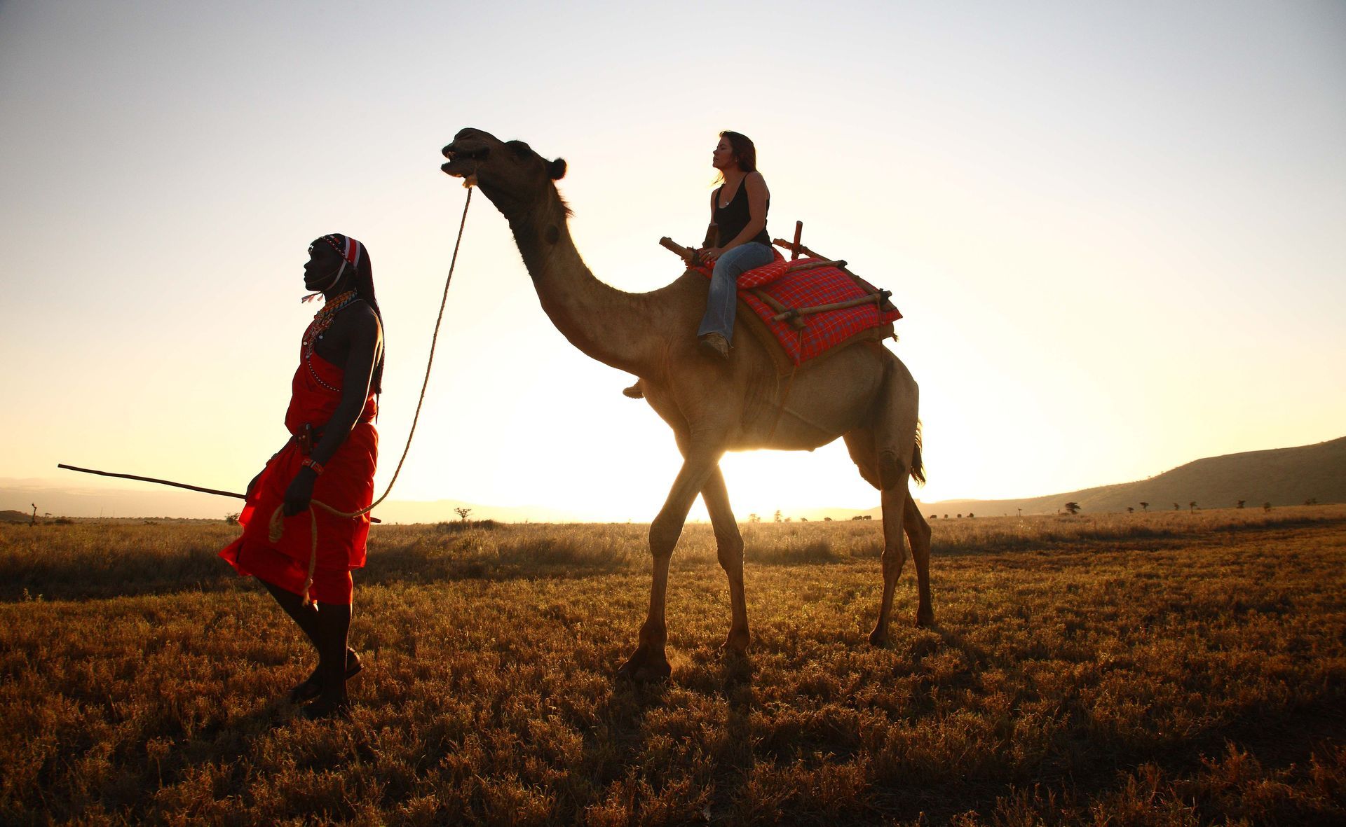 A person leads a camel carrying a rider across a sunlit, grassy field during a warm, golden sunset.