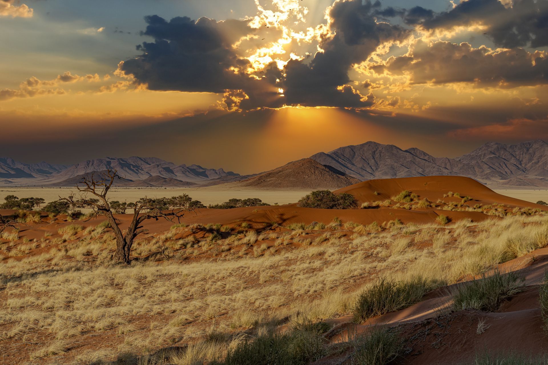A golden sunset glows behind clouds above arid, grassy desert plains and distant mountain silhouettes.