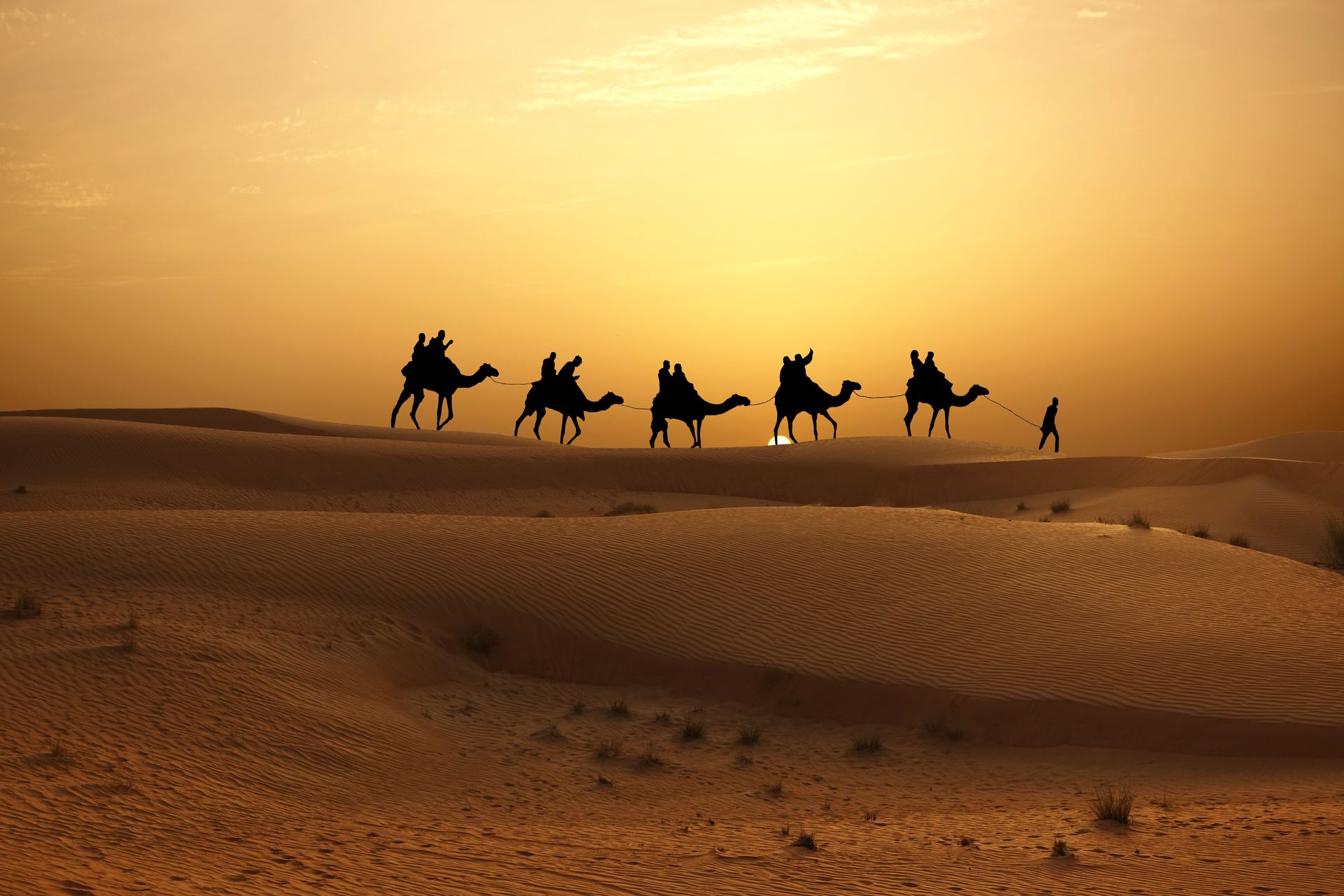 A line of five camels with riders and a person walking in a desert landscape during a golden sunrise.