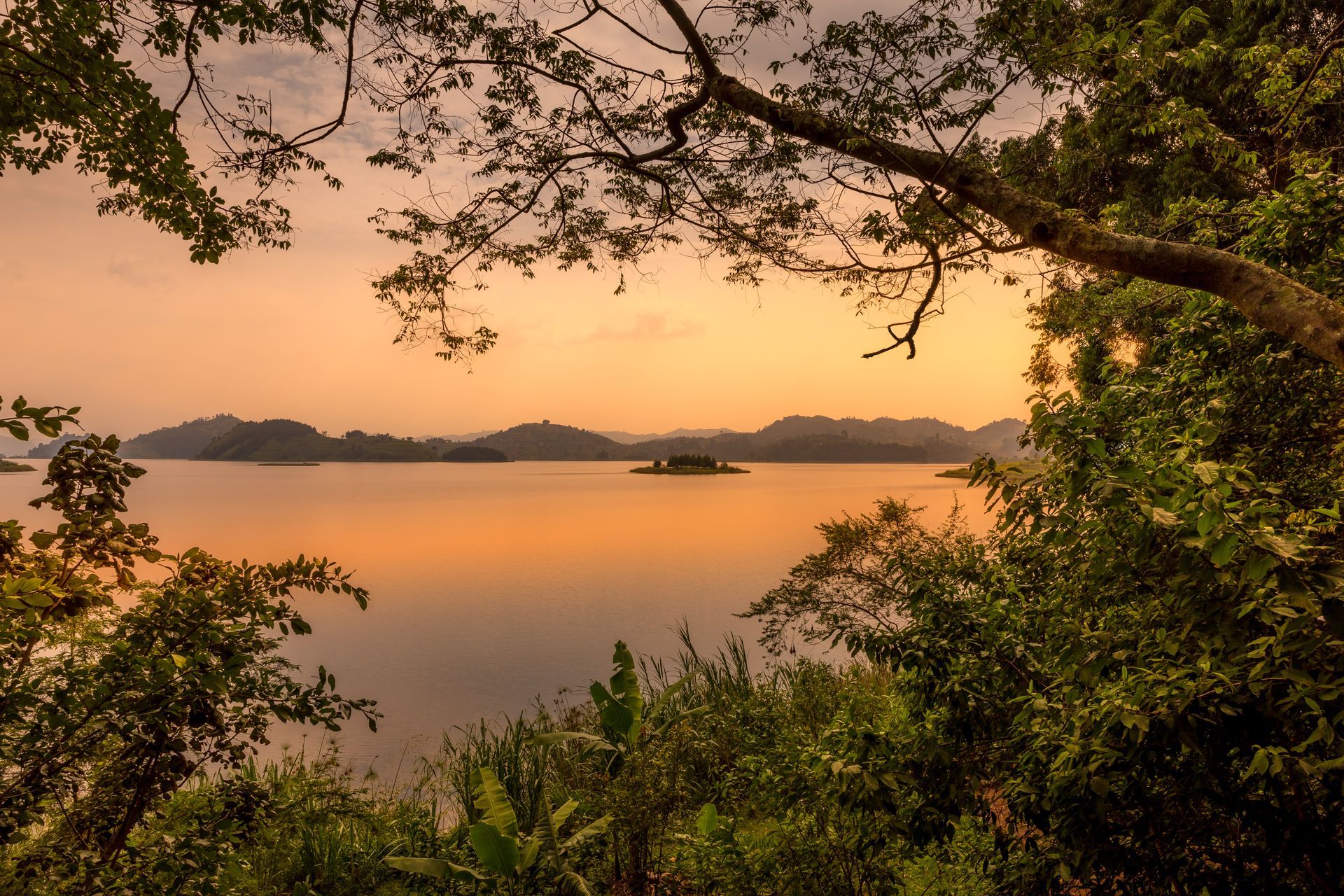 Golden sunset reflecting on a calm lake, framed by overhanging tree branches and distant silhouetted hills.