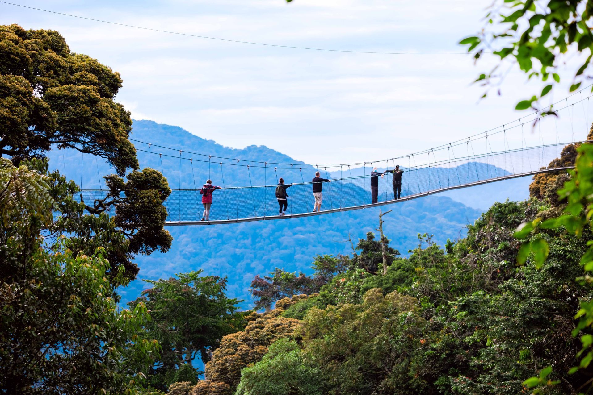 People walk across a suspended bridge surrounded by lush green mountains and forest.