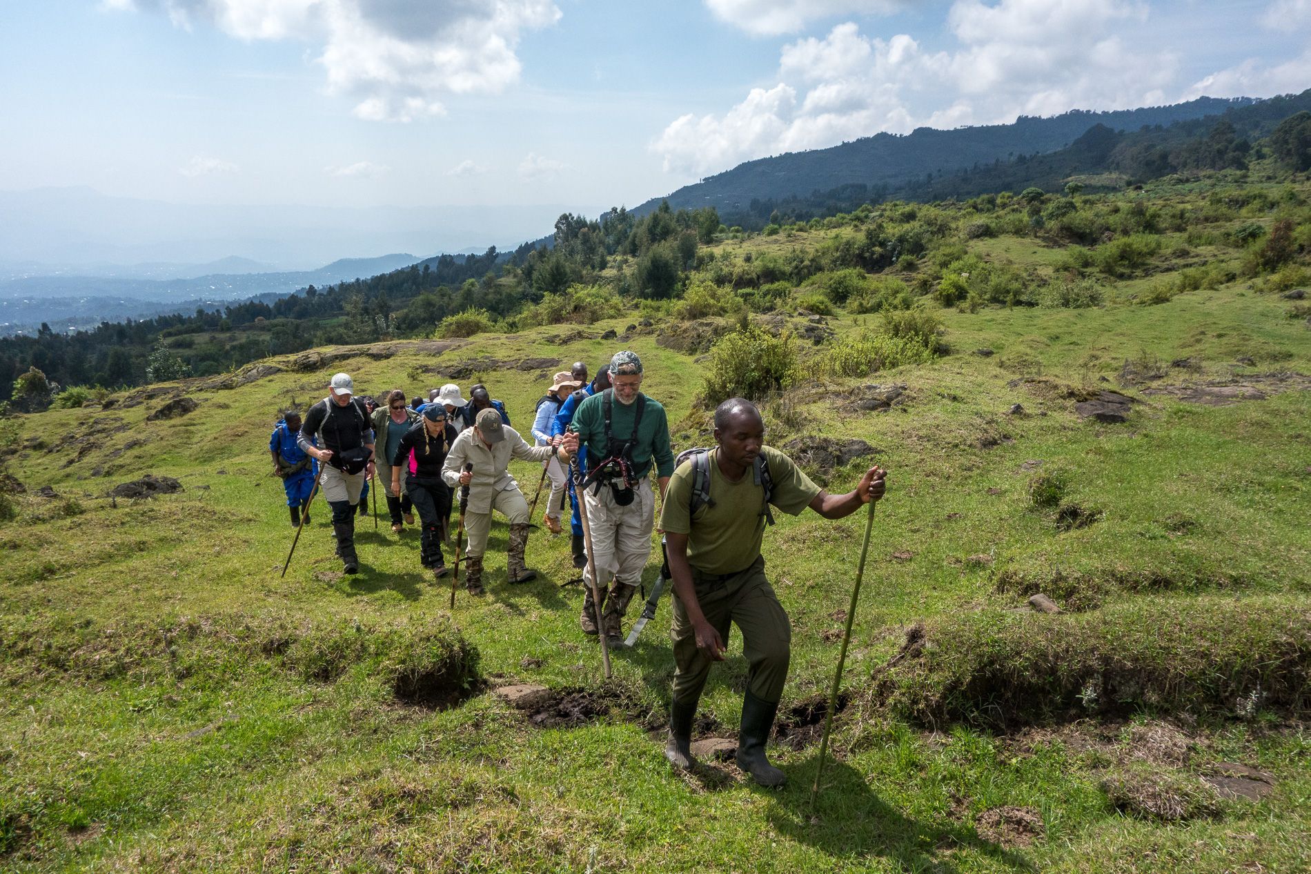 A group of hikers with walking sticks trekking up a grassy, sunlit mountain slope.