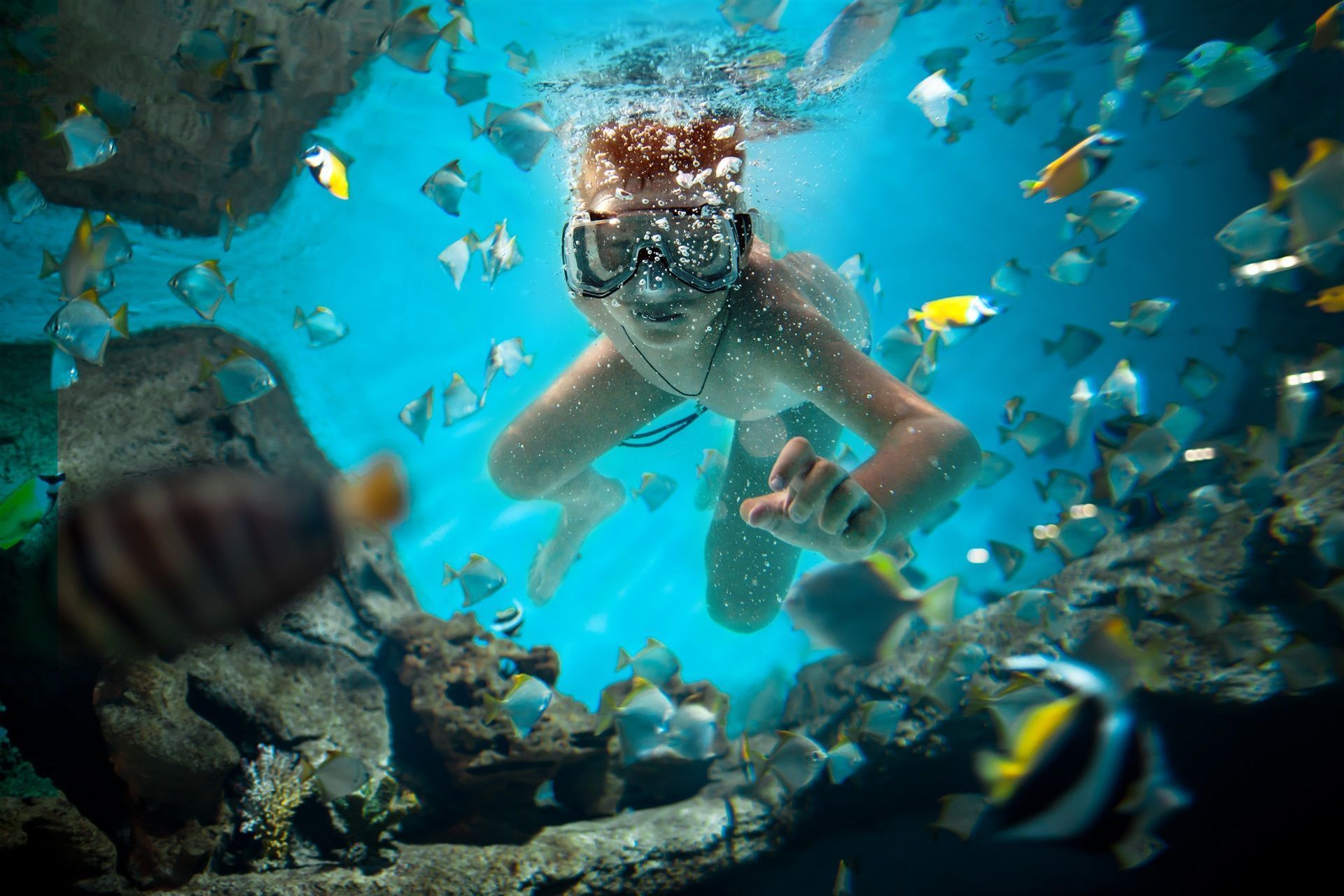 A person swimming underwater, wearing goggles, surrounded by a large school of small fish in a rocky, blue environment.