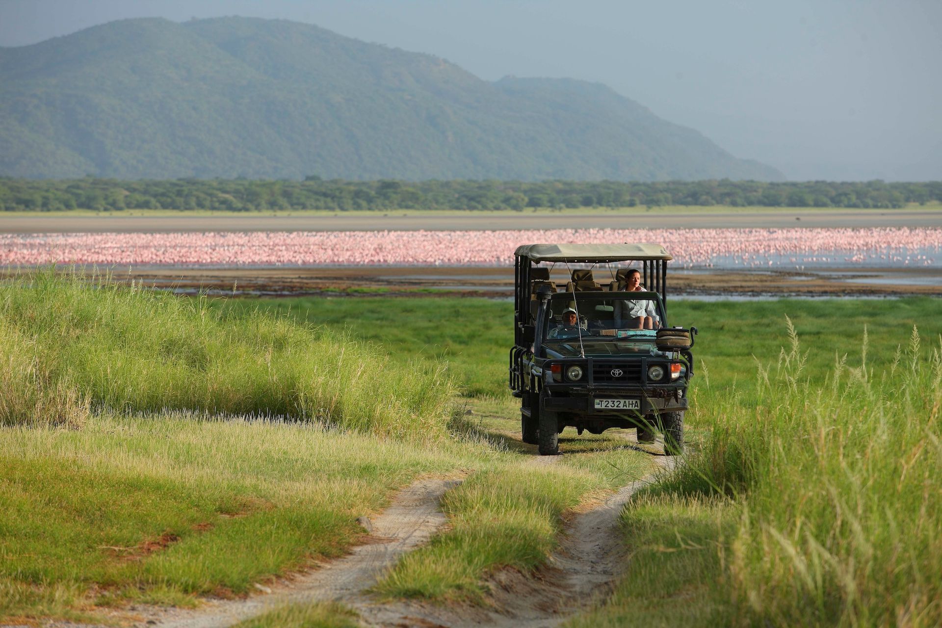 A safari vehicle drives on a dirt path toward a large lake filled with a vast flock of pink flamingos against a mountain.