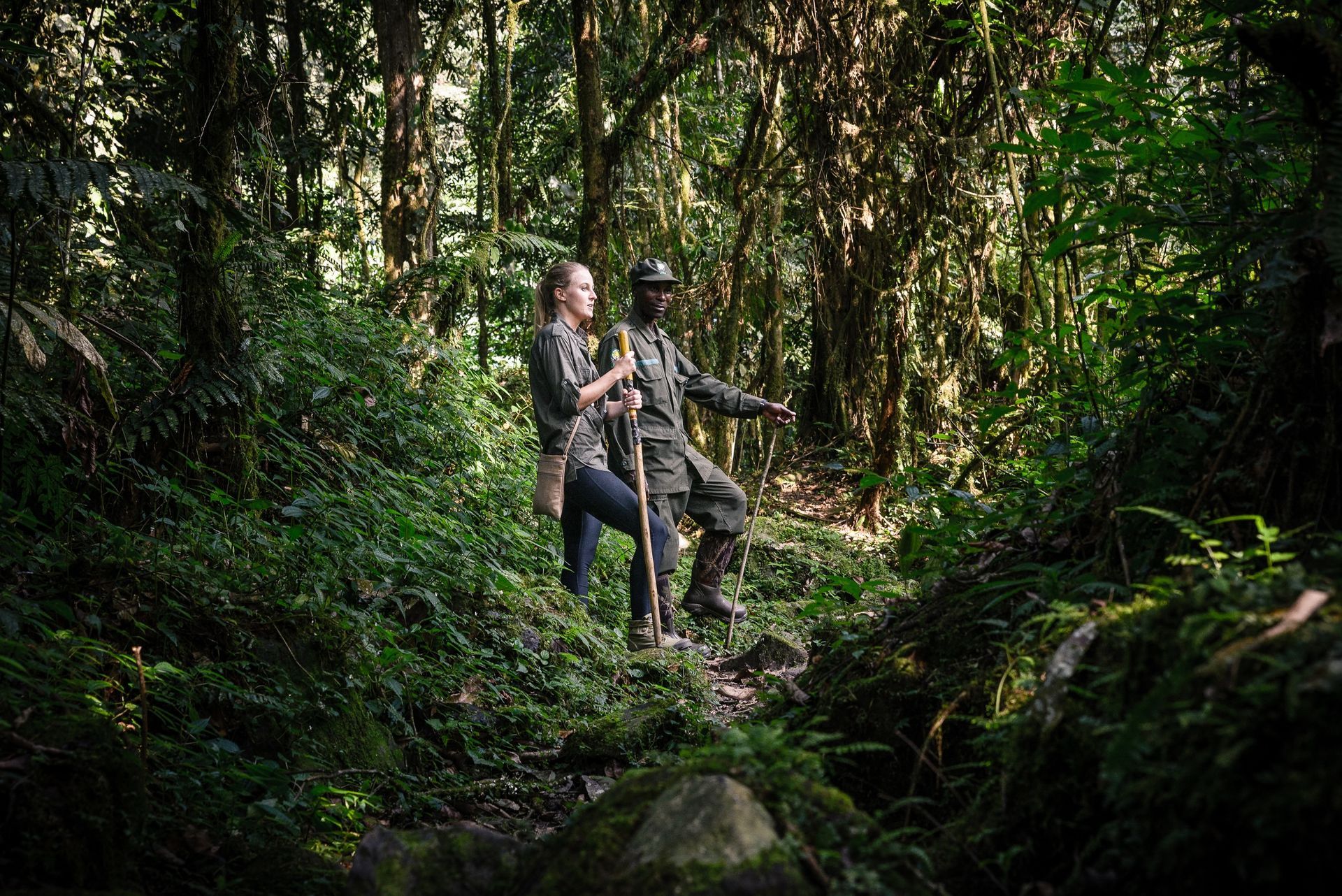 Two people in hiking gear trek through a sunlit, dense green forest, one holding a walking stick and pointing forward.