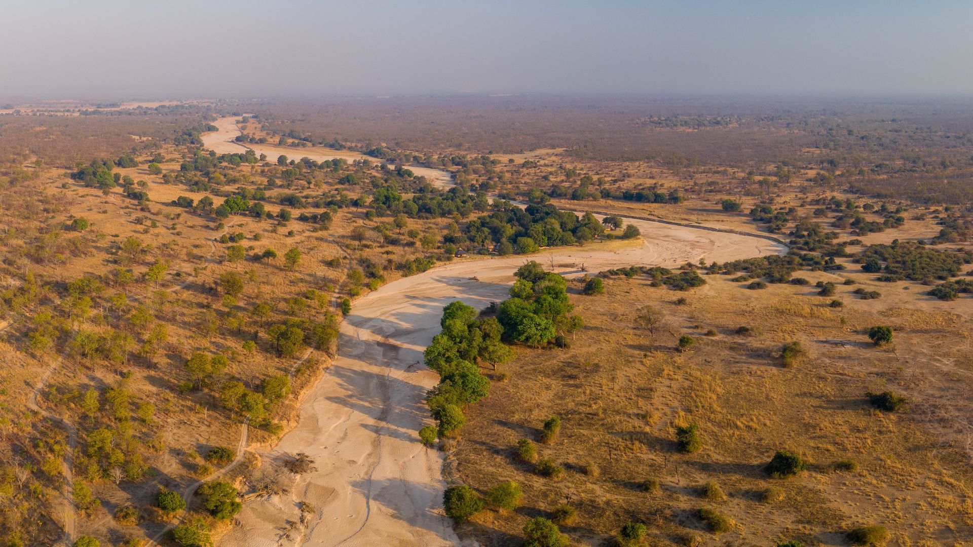 An aerial view of a dry, winding riverbed cutting through a dry, golden-brown savanna landscape with scattered green trees.