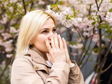 A woman is covering her nose while standing in front of a cherry blossom tree.