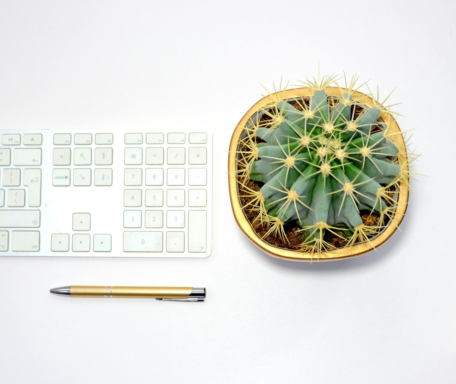 Cacti Media SEO experts