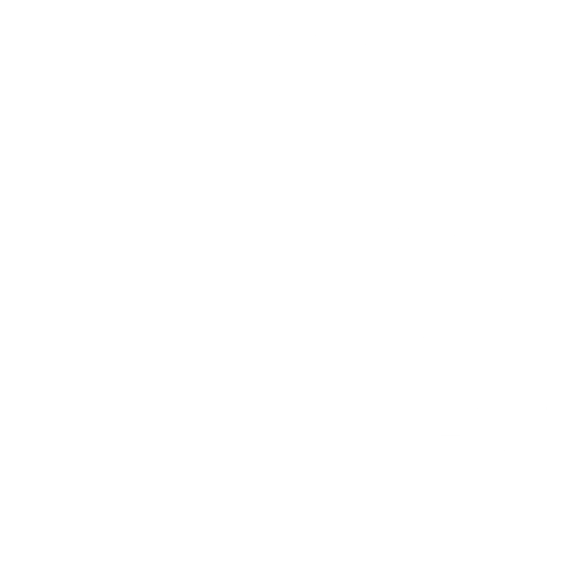 Blue Terra Management white logo.