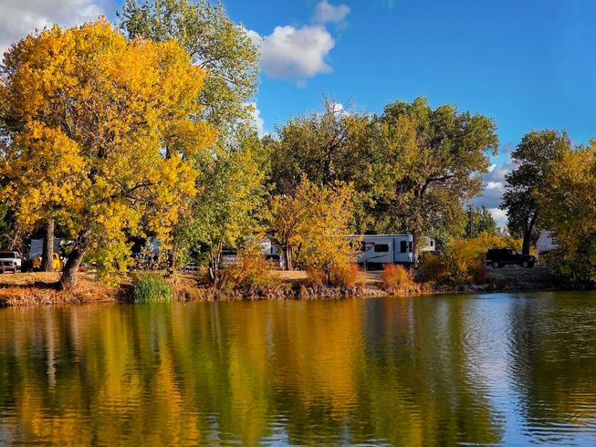 Autumn trees with golden leaves reflected in a calm lake under a blue sky, with houses along the shore.