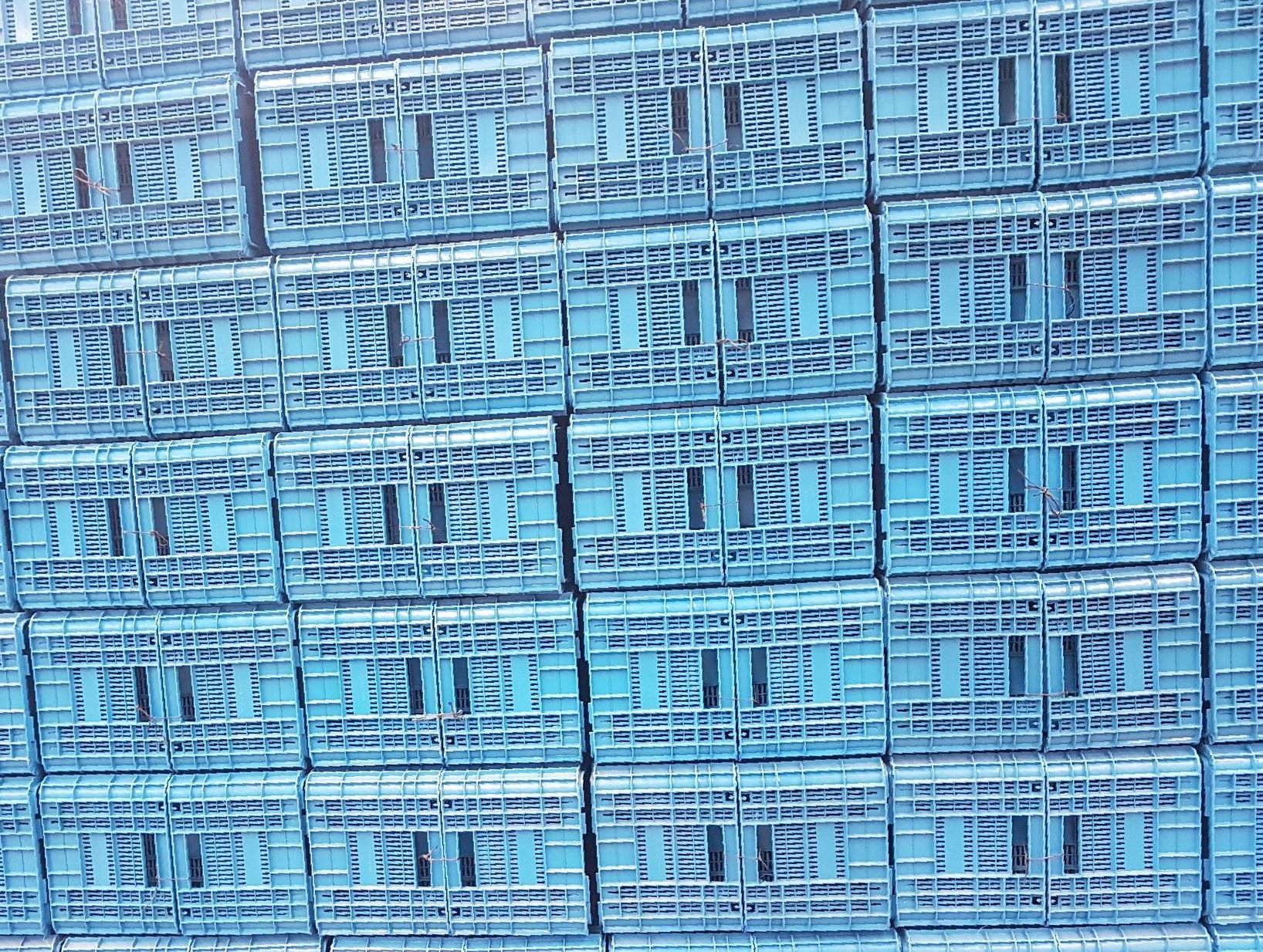 Plastic Crate for Produce