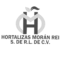 Logo de Hortalizas Morán Rei S. de R.L. de C.V. en gris y negro con una M estilizada