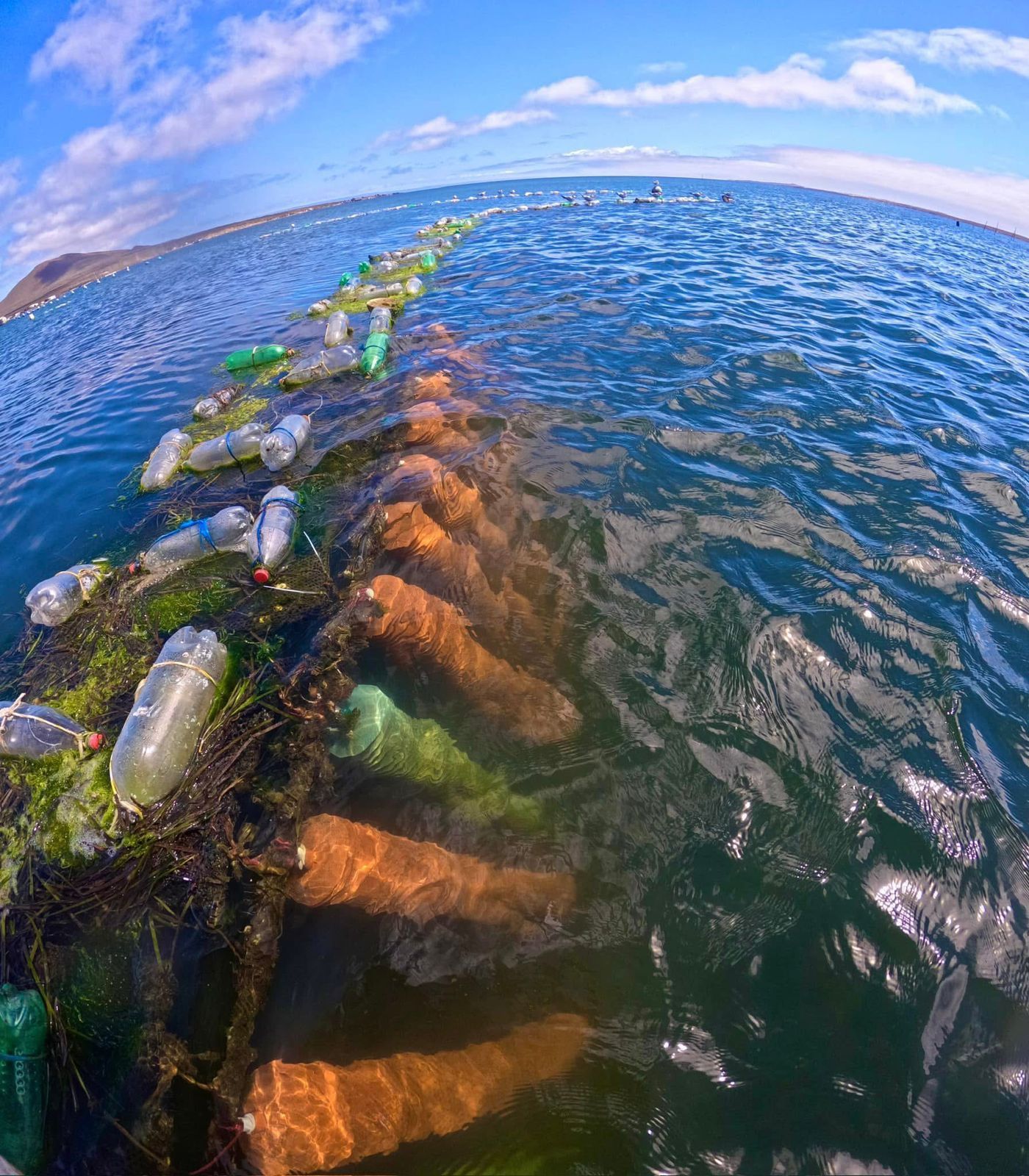 Fish trap or net in blue ocean water, with floats and waves under a bright sky